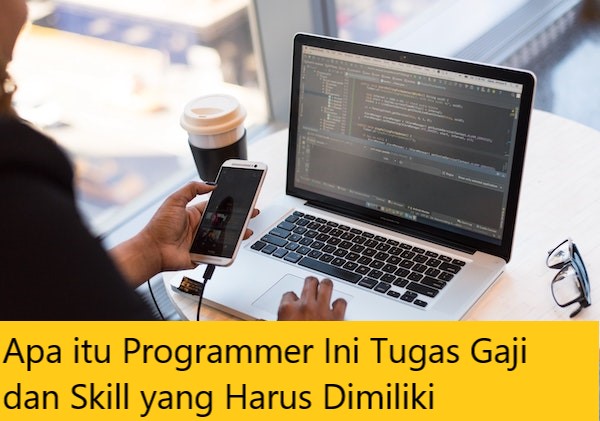 Apa itu Programmer Ini Tugas Gaji dan Skill yang Harus Dimiliki