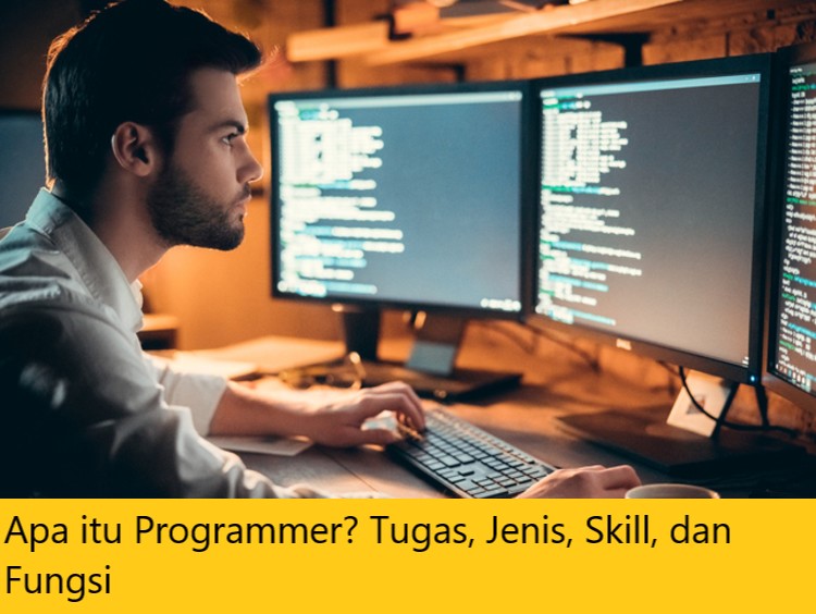 Apa itu Programmer? Tugas, Jenis, Skill, dan Fungsi