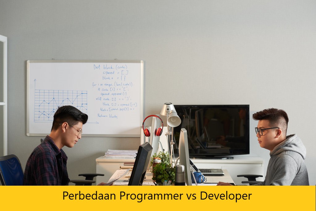 Perbedaan Programmer vs Developer