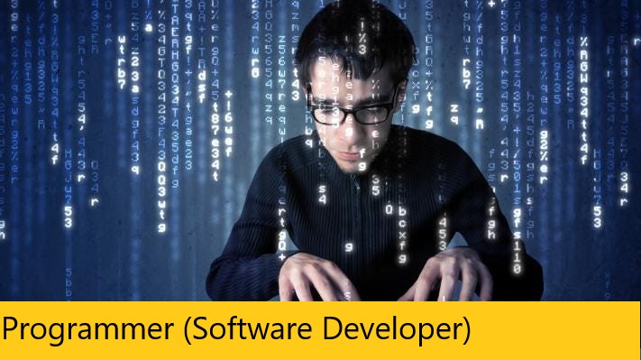 Programmer (Software Developer)