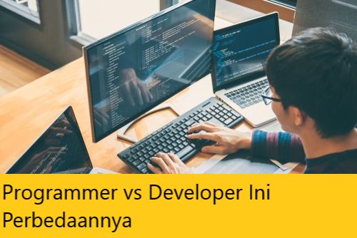 Programmer vs Developer Ini Perbedaannya
